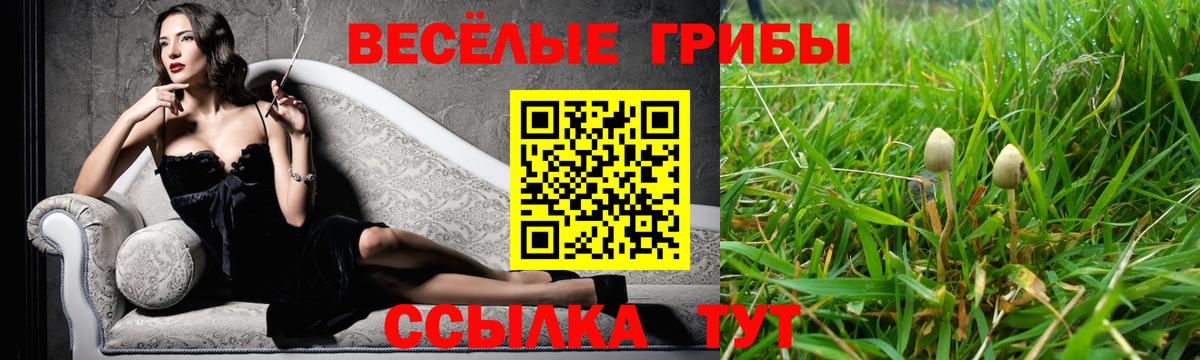 Галлюциногенные грибы мицелий  Вход с VPN  Черняховск  Псилоцибиновые грибы GOLDEN TEACHER 